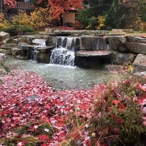 Meet your Posher, Mary-anne